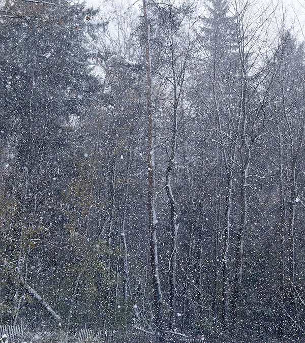 First real snow of the season.