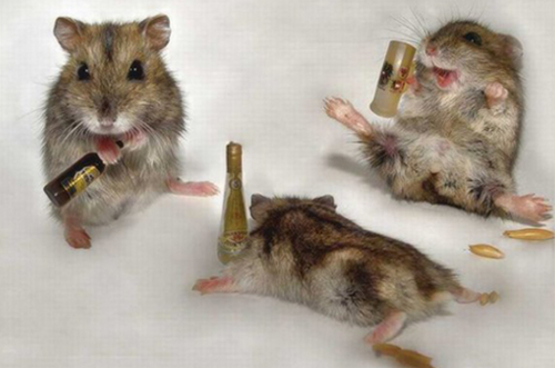 Three Stoned Mice.
